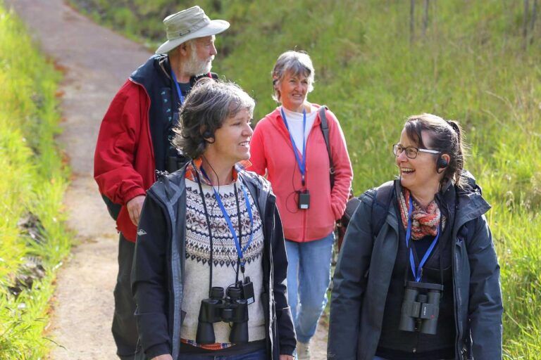 Private Guided Tour